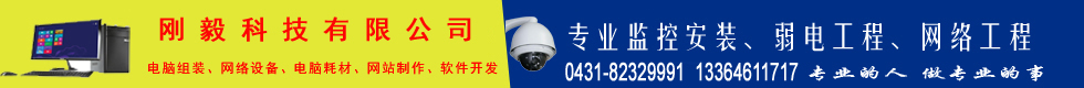 刚毅科技有限公司安防部
